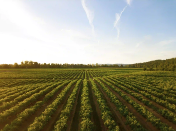 agricultural engineers_1_1.webp